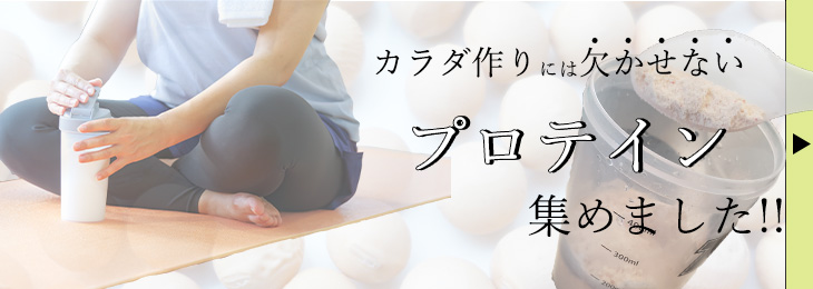 プロテイン特集
