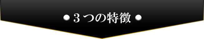 IDEALMULTI 127 3つの特徴
