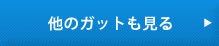 その他のガットも見る