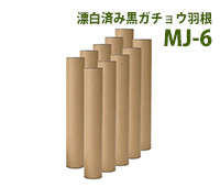 無印シャトルコック 601